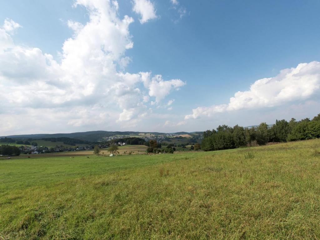 שווארצנברג Ferienwohnung Ripa Erzgebirge In Schwarzenberg מראה חיצוני תמונה