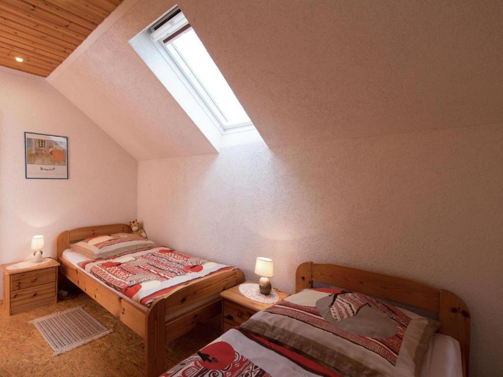 שווארצנברג Ferienwohnung Ripa Erzgebirge In Schwarzenberg מראה חיצוני תמונה